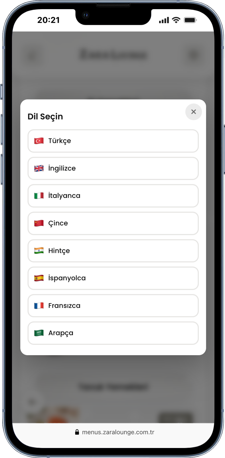 Çoklu Dil Önizleme